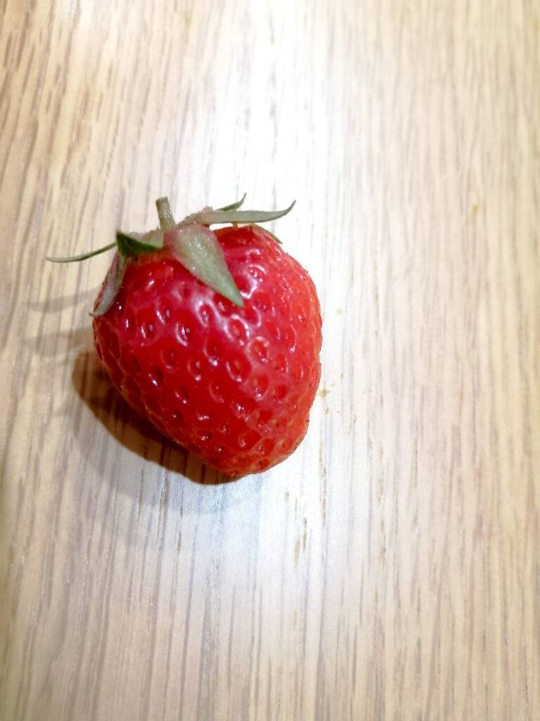 収穫した小ぶりな古都華の実