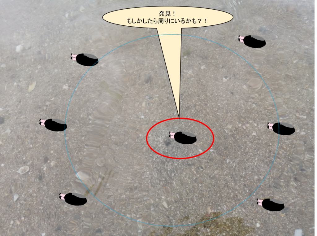 潮干狩りで貝が見つかった周辺の砂浜
