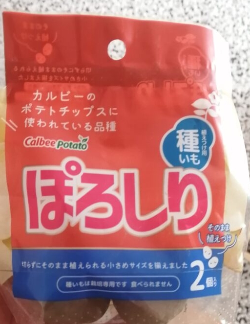 ポロシリの種芋