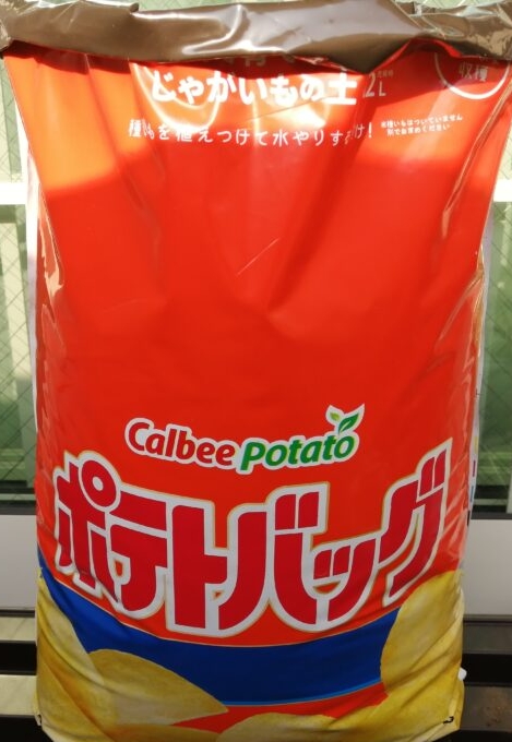 ジャガイモ栽培に使ったポテトバッグ