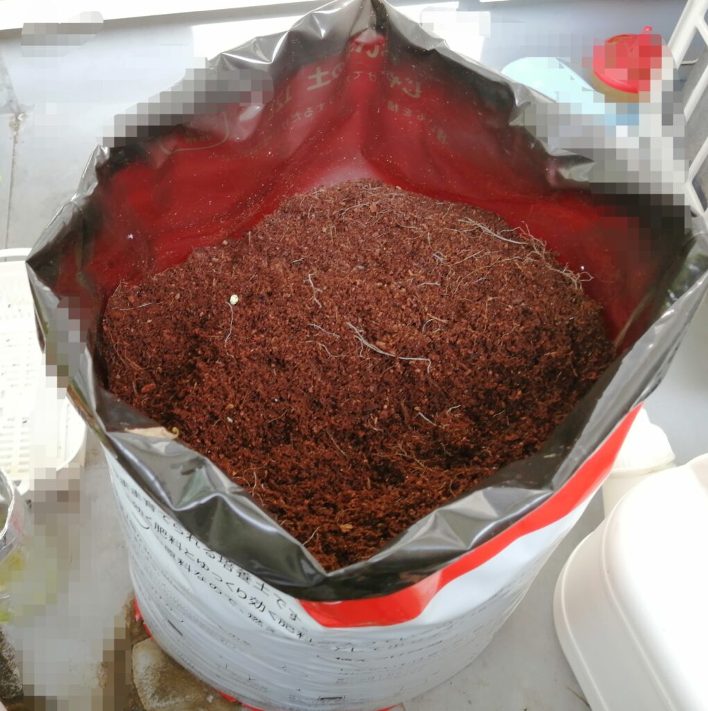ポテトバッグで育てたポロシリを収穫した直後の様子